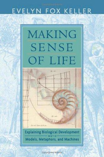 Making sense of life