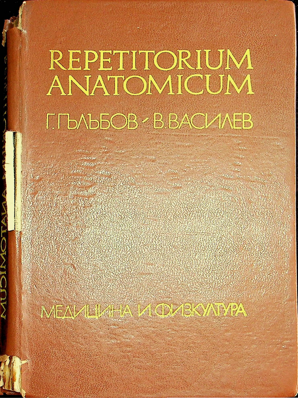 Repetitorium anatomicum