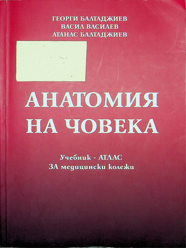 Анатомия на човека