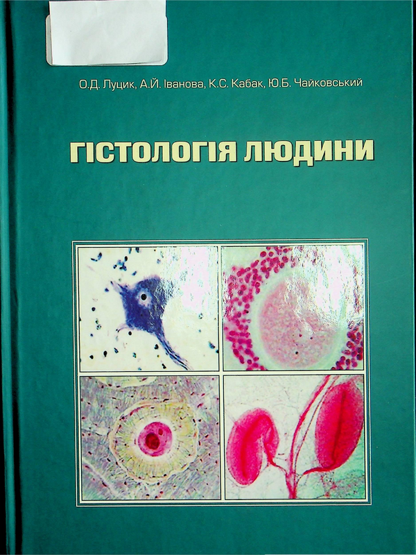 Гистология людини