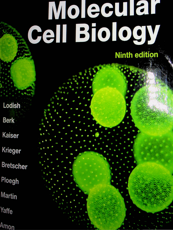 Molecular cell biology